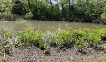 County Road P-309, Alton, MO 65606