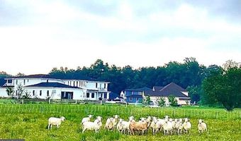 Lot HAZLETTVILLE Road, Hartly, DE 19953