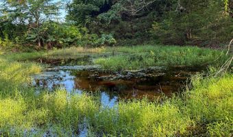 Co Rd 539, Ava, MO 65629