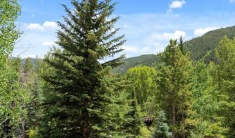 42703 Hwy 82 Unit B, Aspen, CO 81611