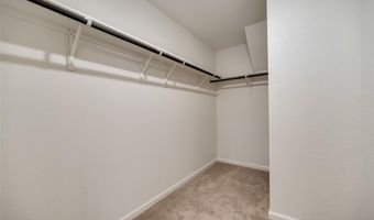 713 Peach Tree Ln, Anna, TX 75409