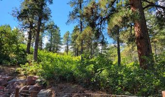 8946 Cottonwood Dr, Beulah, CO 81023