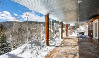 238 Hawk Ln, Basalt, CO 81621