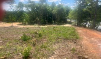 Highway 27, Attapulgus, GA 39815