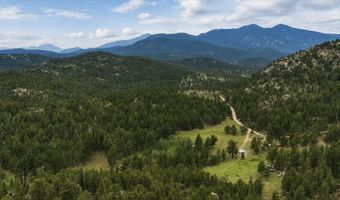 TBD County Road 59, Allenspark, CO 80510