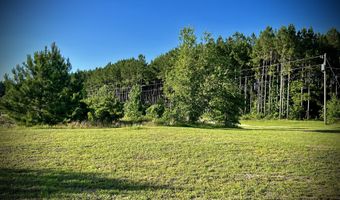 1739 Snellbridge Rd, East Dublin, GA 31027