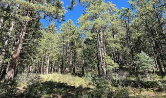 141 Afv N Back Basin Rd, Angel Fire, NM 87710