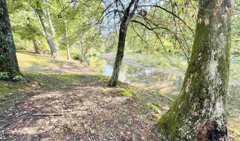 20 Creekside Dr, Anderson, AL 35610