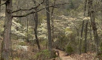 Lot 13 Lookout Point, Bruner, MO 65620