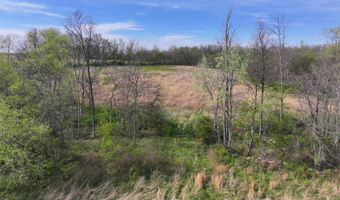 County Road 450 N, Albion, IL 62806
