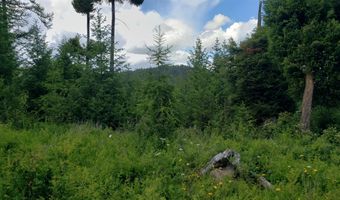 Lot 21 Arlee Pines, Arlee, MT 59821