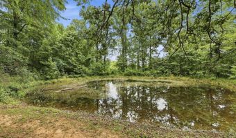 1130 Lyons Rd, Bolton, MS 39041