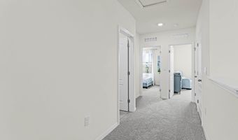 3403 Wye Oak Dr, Apopka, FL 32703