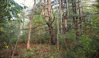 0 Midline Rd, Amsterdam, NY 12010