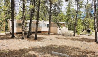 700 Looney Ln Lot 0, Alma, CO 80420