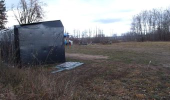 2327 McMichael Rd, Alanson, MI 49706