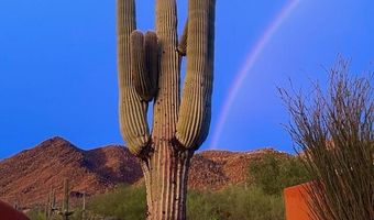 N Palo Verde Way 19, Carefree, AZ 85377