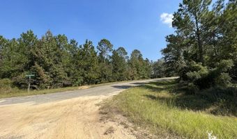 0 John S Horton, Adrian, GA 31002