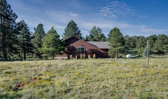 10 Armijo Dr, Angel Fire, NM 87710