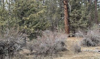Bufflehead Drive TL 10, Bonanza, OR 97623