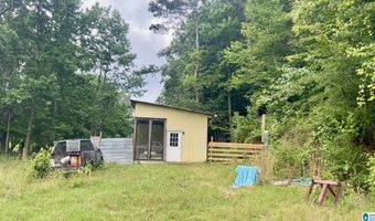 988 MINES Rd 100, Ashland, AL 36251