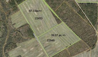 Sr 1918 Road, Aurora, NC 27806