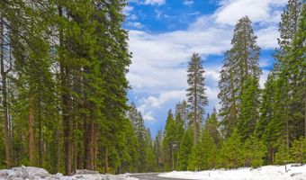2883 Chinook Way, Arnold, CA 95223