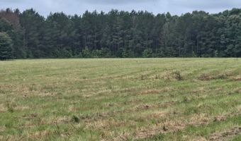 Oak Village Road, Akron, AL 35441