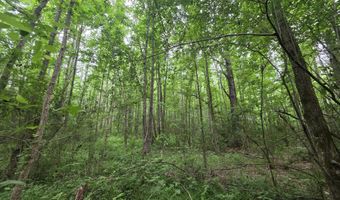 1542 Wellman Dr, Brookhaven, MS 39601