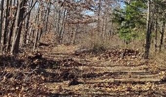 Farm Road 1245, Aurora, MO 65605