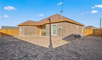 813 Dove St, Alamo, TX 78516