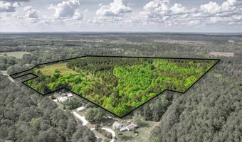 6995 Cobbham Rd, Appling, GA 30802