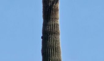 19080 E Indian Hills Dr, Black Canyon City, AZ 85324