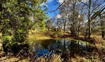 1520 Brittontown Rd, Afton, TN 37616