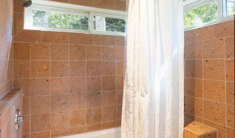 109 Neale Ave, Aspen, CO 81611