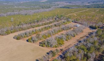 185 Peach Cider Rd, Batesburg Leesville, SC 29006