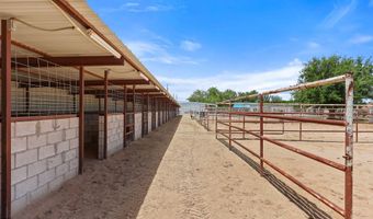 1624 VINTON Rd, Anthony, NM 88021