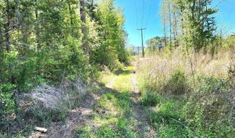 305 Clyde Ave, Aulander, NC 27805
