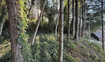 97923 PAYNE Rd, Brookings, OR 97415