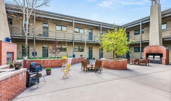 361 Robinson St 208, Basalt, CO 81621