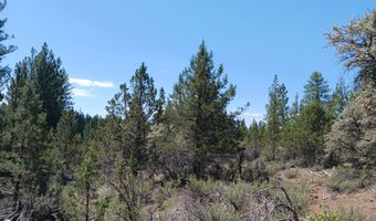 Oriole Drive Lot 12, Bonanza, OR 97623