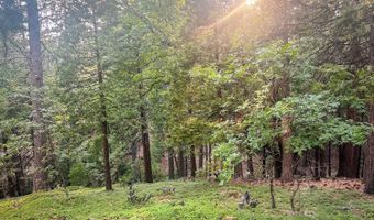 1800 Kit Carson Cir, Arnold, CA 95223