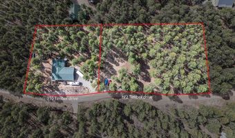 310 Timber Dr, Bayfield, CO 81122
