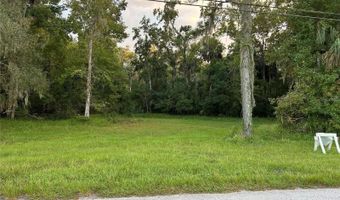 24916 BUTLER St, Astor, FL 32102