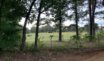 277 CR 2958, Alba, TX 75410