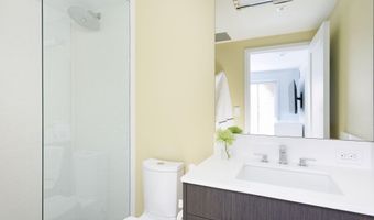 1001 E Cooper Ave 2, Aspen, CO 81611