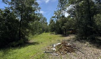 248 Ball Park Rd, Alford, FL 32420