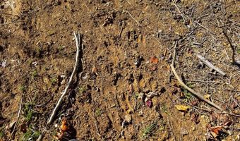 0 W Captina Highway Rd, Alledonia, OH 43902