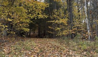 00 Peaked Hill Rd 7.1, 7.2, 7.3, 7.4, Bristol, NH 03222