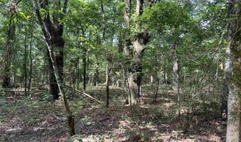 0 CR 4236, De Kalb, TX 75559